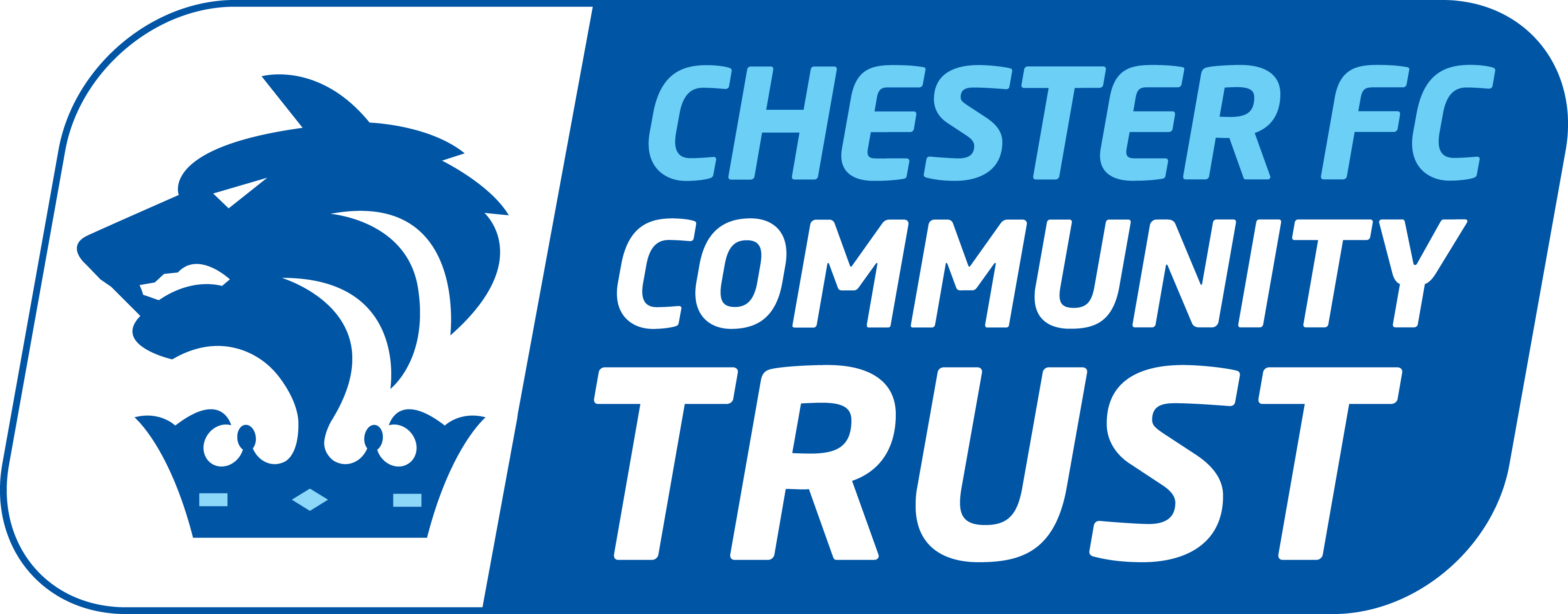 vacancy-health-inclusion-coordinator-chester-fc-community-trust